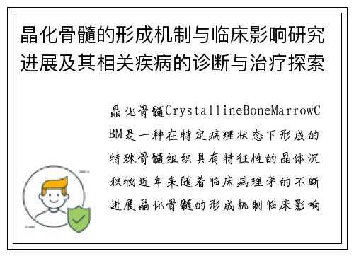 晶化骨髓的形成机制与临床影响研究进展及其相关疾病的诊断与治疗探索 晶化骨髓的形成机制与临床影响研究进展及其相关疾病的诊断与治疗探索