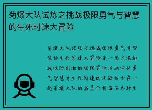 菊爆大队试炼之挑战极限勇气与智慧的生死时速大冒险
