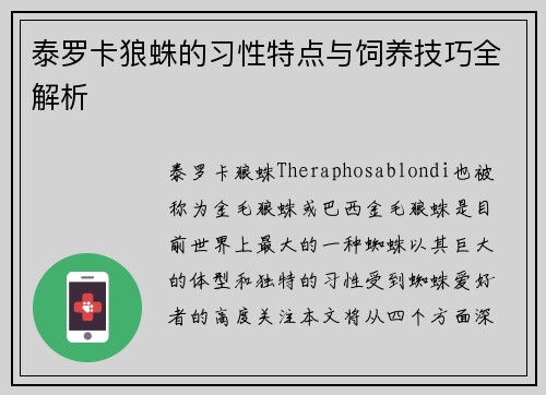 泰罗卡狼蛛的习性特点与饲养技巧全解析